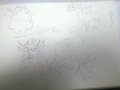 WP_20150405_003.jpg
